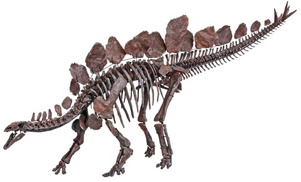 Динозавры. 150 000 000 лет господства на Земле