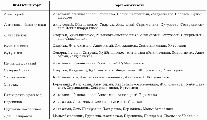 Сезонный календарь для садовода